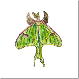 Luna Moth Posters and Art